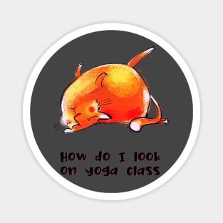 How do I look on yoga class funny yoga and cat drawing Magnet